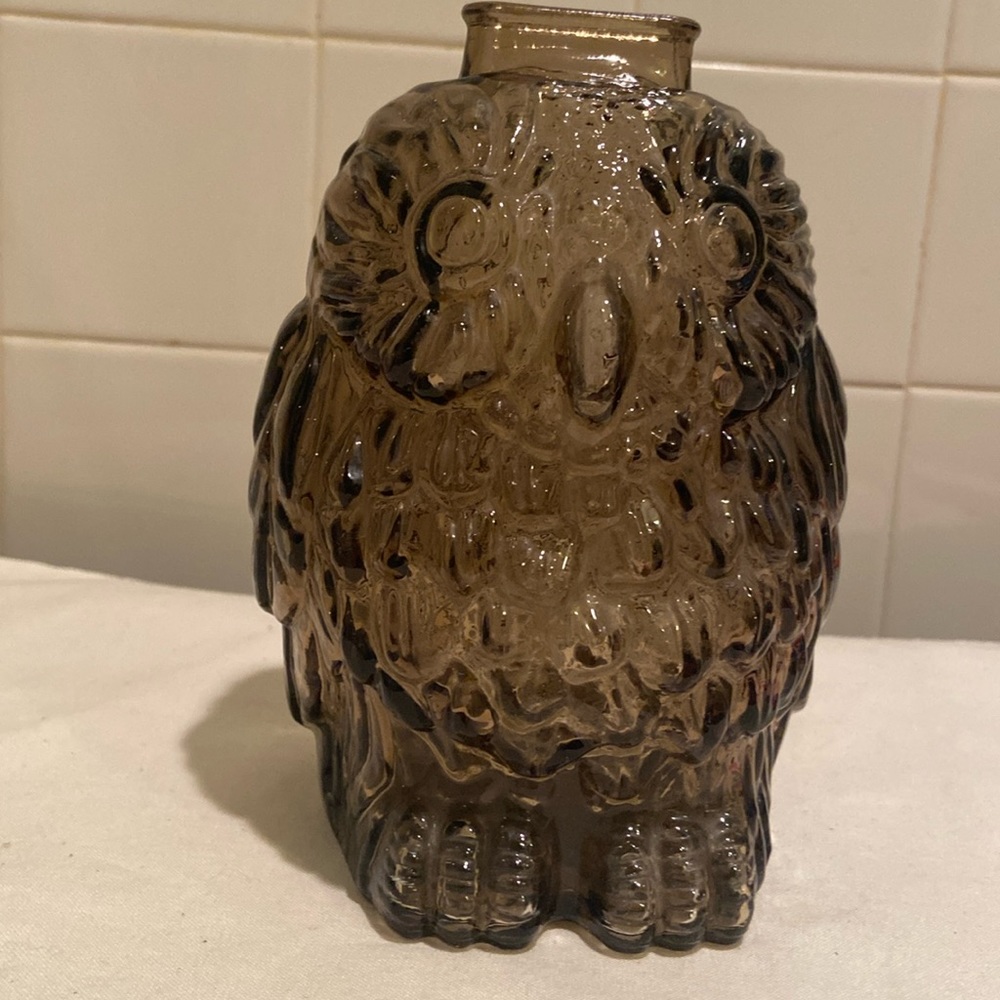 🌺 vintage glass owl  coin, bank, wise old owl gray black